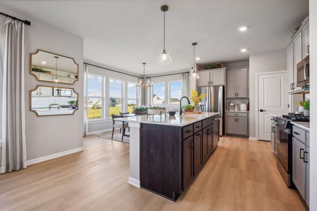 1542 Philipp Way, Shakopee, MN 55379