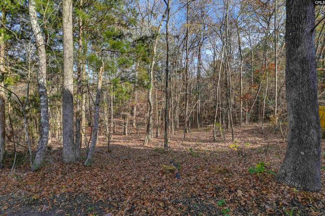 657 Hamlin Way, Irmo, SC 29063