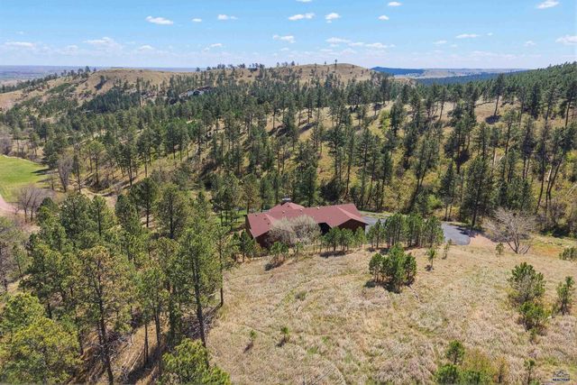 13959 CANYON SPUR, Piedmont, SD 57769