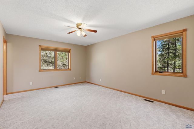 13959 CANYON SPUR, Piedmont, SD 57769