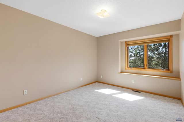 13959 CANYON SPUR, Piedmont, SD 57769