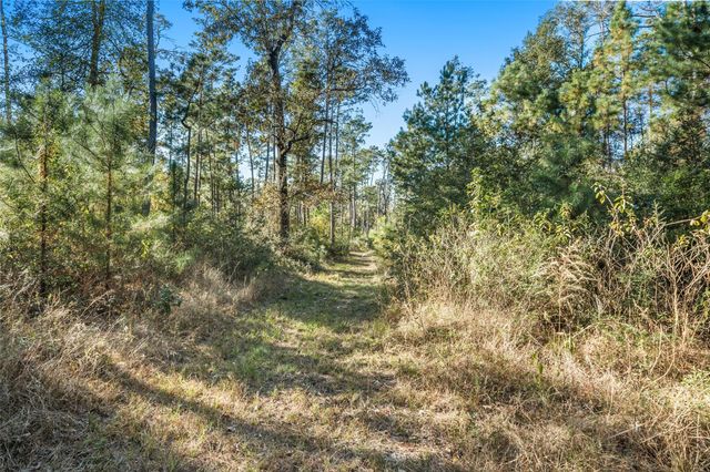 224 Commanche Road, Oakhurst, TX 77359