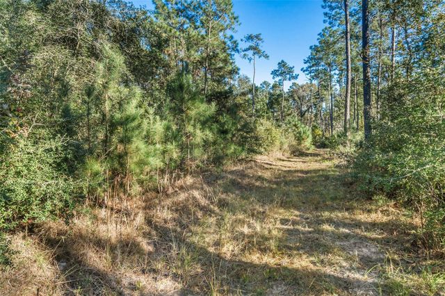 224 Commanche Road, Oakhurst, TX 77359