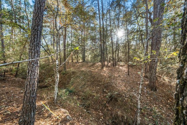 224 Commanche Road, Oakhurst, TX 77359