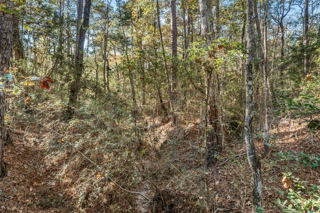 224 Commanche Road, Oakhurst, TX 77359