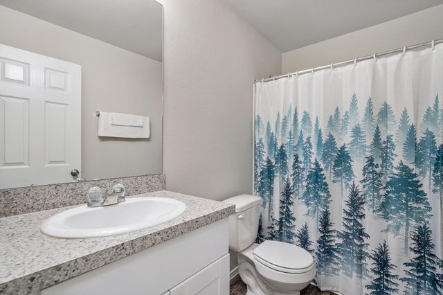 20918 Twining Rose Lane, Tomball, TX 77377