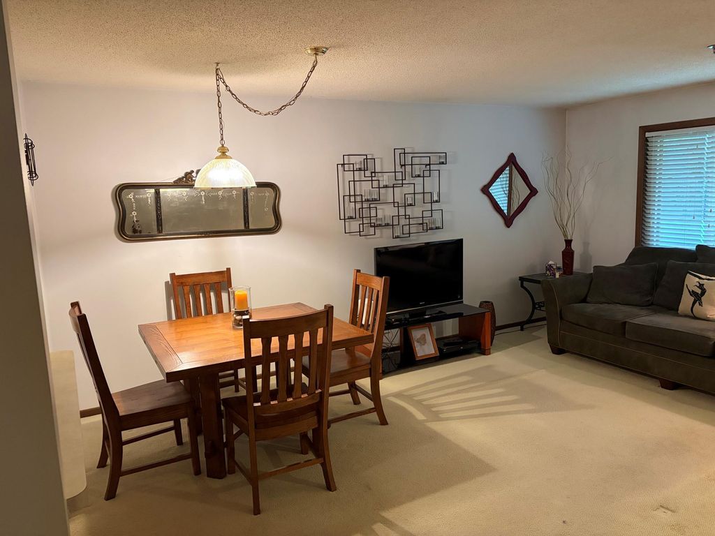 2110 Ridge Drive 13, Saint Louis Park, MN 55416 — photo 4