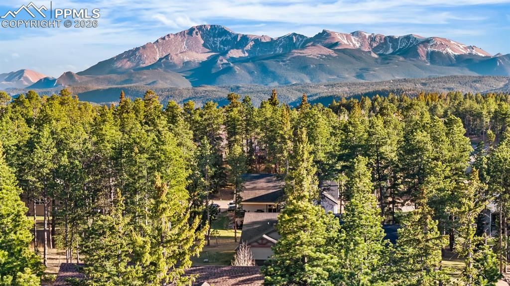 Image 50 of property listing at 620 Chipmunk Drive, Woodland Park, CO 80863