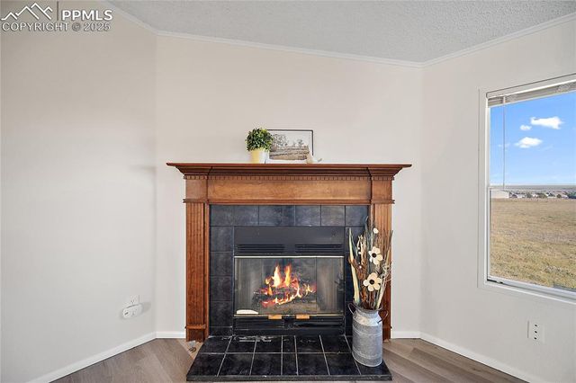 15125 Ewing Court, Peyton, CO 80831