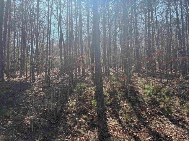 Lot 617 Block 1 Lakeside Drive, Fairfield Bay, AR 72088
