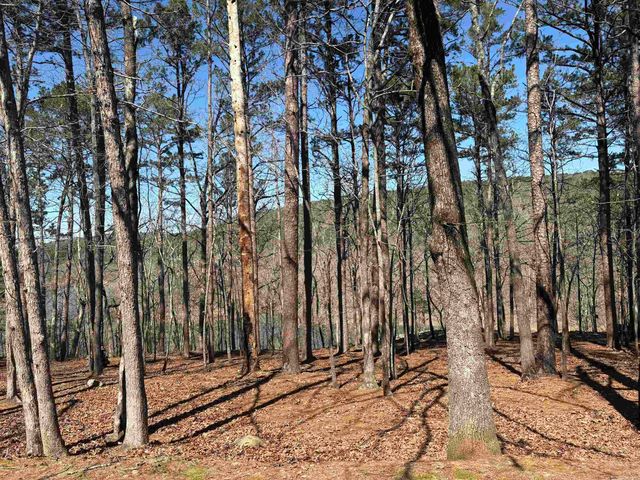 Lot 617 Block 1 Lakeside Drive, Fairfield Bay, AR 72088