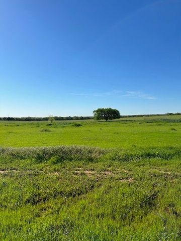 Lot 17 Monarch Court, Poolville, TX 76487