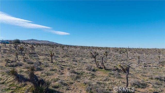 9588 Milpas, Apple Valley, CA 92308