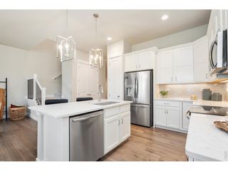 6228 Vernazza Way 3, Windsor, CO 80550