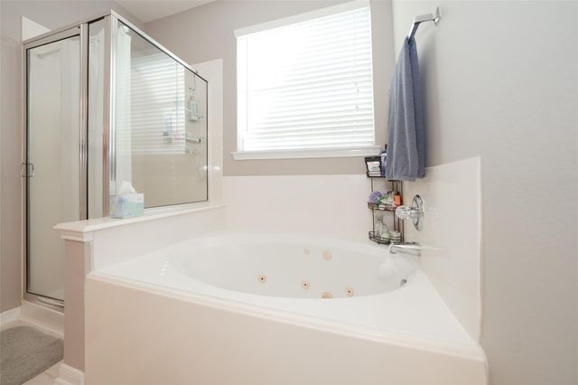 21622 Canyon Terrace Lane, Katy, TX 77450