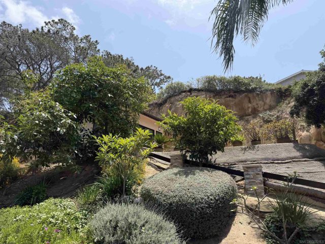 341 Hidden Pines Rd, Del Mar, CA 92014
