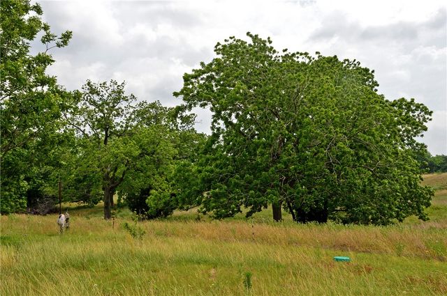 7319 Highway 6, Navasota, TX 77868