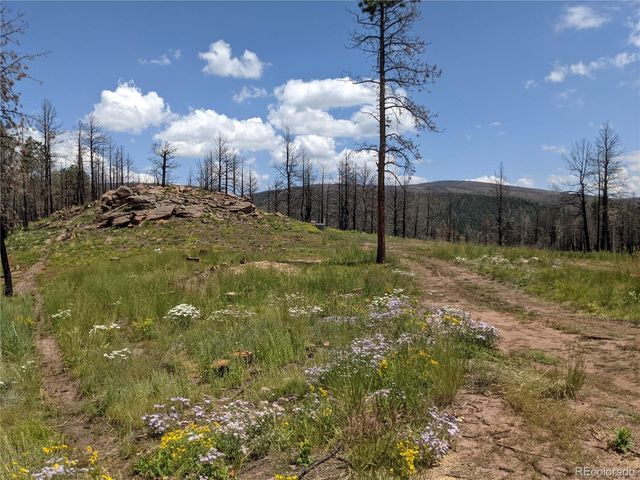 549-551 Drevs Place, Fort Garland, CO 81133