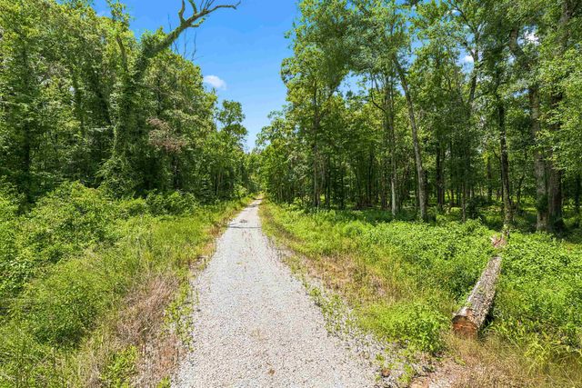 Lot 1 Wildwood Dr, Denham Springs, LA 70726
