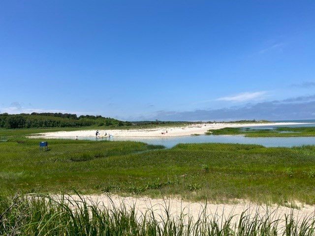 44 Brier Lane, Brewster, MA 02631