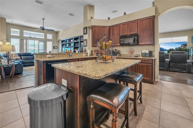 12309 LOOPBACK DRIVE, San Antonio, FL 33576