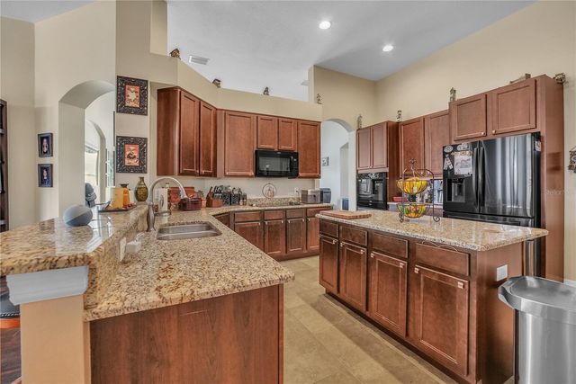 12309 LOOPBACK DRIVE, San Antonio, FL 33576
