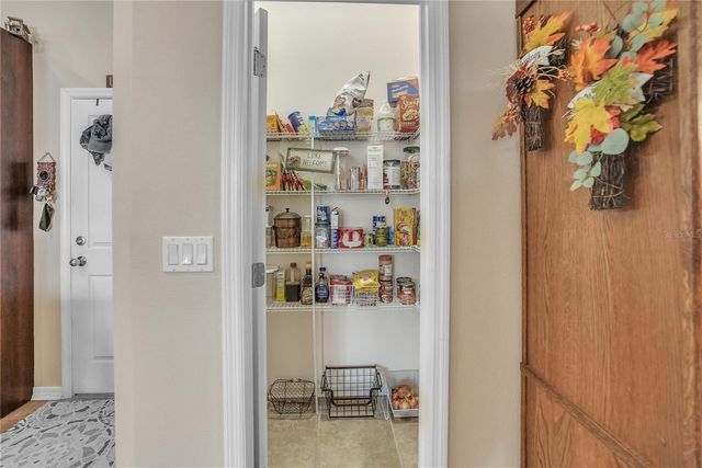 12309 LOOPBACK DRIVE, San Antonio, FL 33576