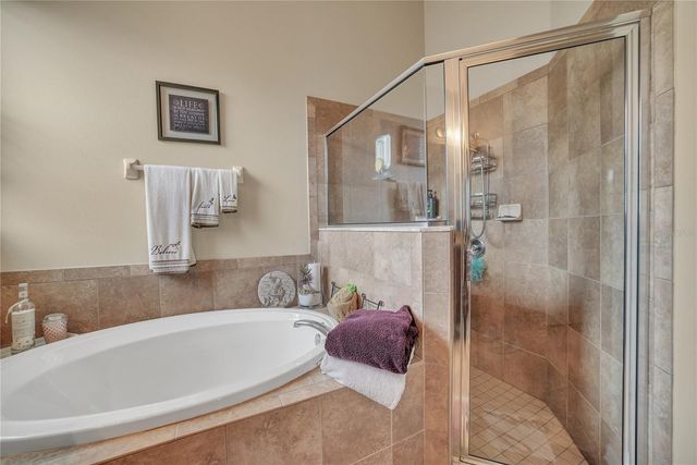 12309 LOOPBACK DRIVE, San Antonio, FL 33576