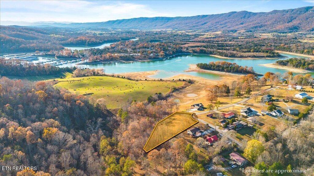 900 Powell Valley Shores Circle, Speedwell, TN 37870