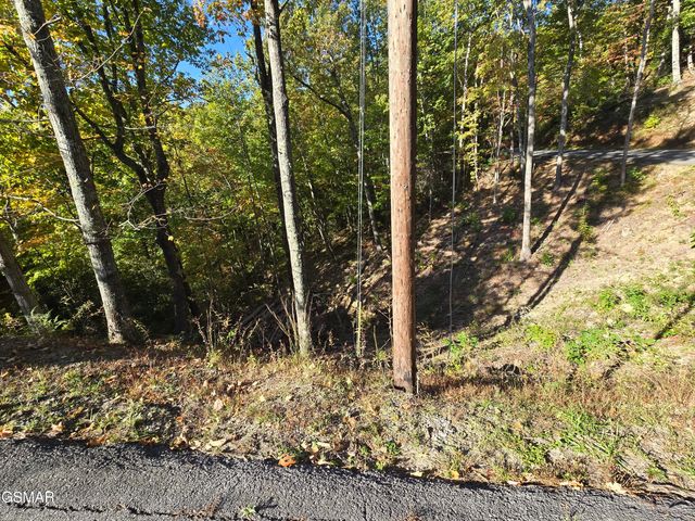 L 6 Scenic Trail, Gatlinburg, TN 37738