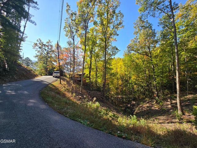 L 6 Scenic Trail, Gatlinburg, TN 37738