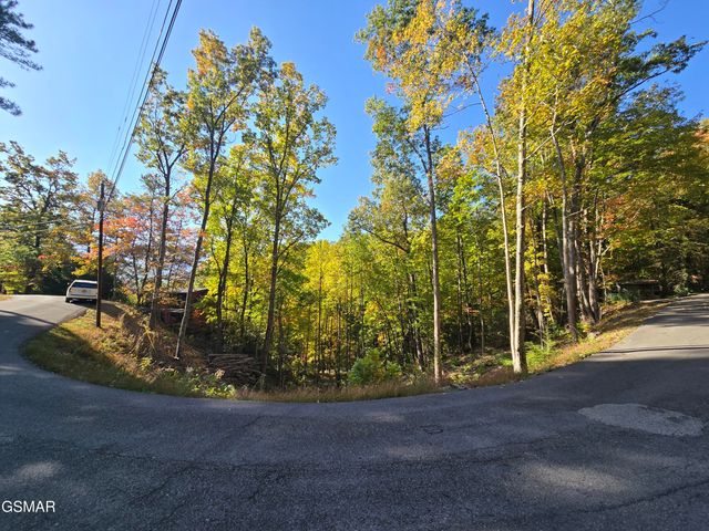 L 6 Scenic Trail, Gatlinburg, TN 37738