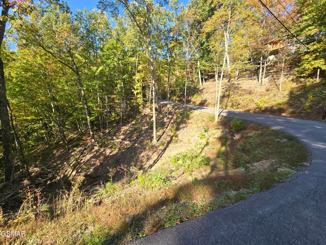 L 6 Scenic Trail, Gatlinburg, TN 37738
