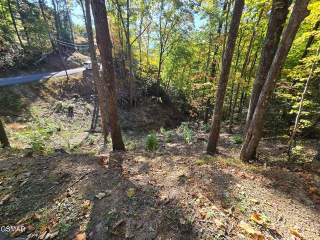L 6 Scenic Trail, Gatlinburg, TN 37738