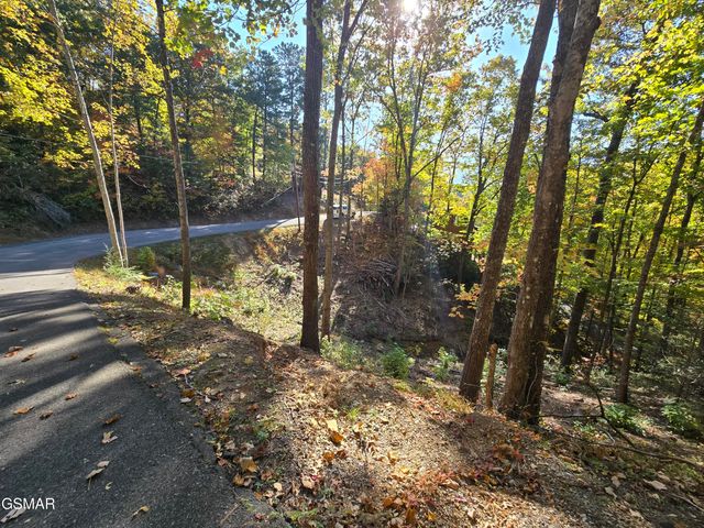L 6 Scenic Trail, Gatlinburg, TN 37738