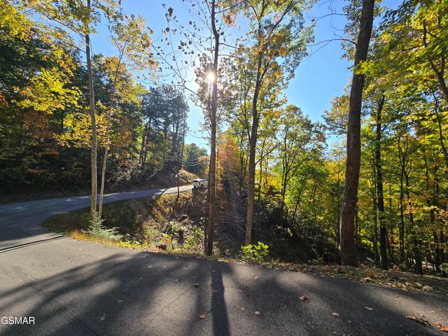 L 6 Scenic Trail, Gatlinburg, TN 37738