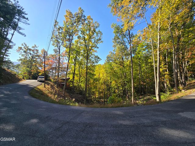 L 6 Scenic Trail, Gatlinburg, TN 37738