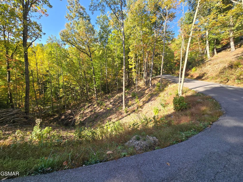 L 6 Scenic Trail, Gatlinburg, TN 37738