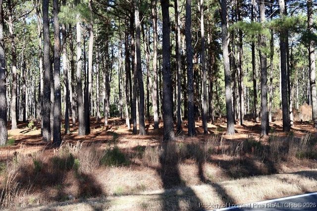 Stuarts Mill Road, Fairmont, NC 28340