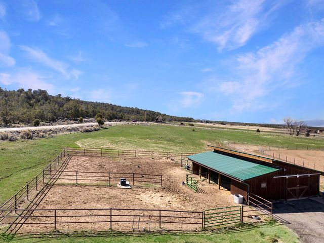 1190 7745 Road, Crawford, CO 81415