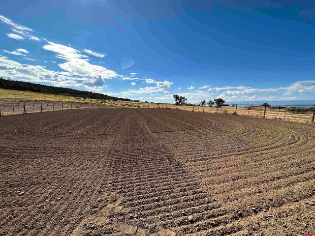 1190 7745 Road, Crawford, CO 81415