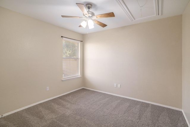 1019 Leeds Castle WALK, Georgetown, TX 78626