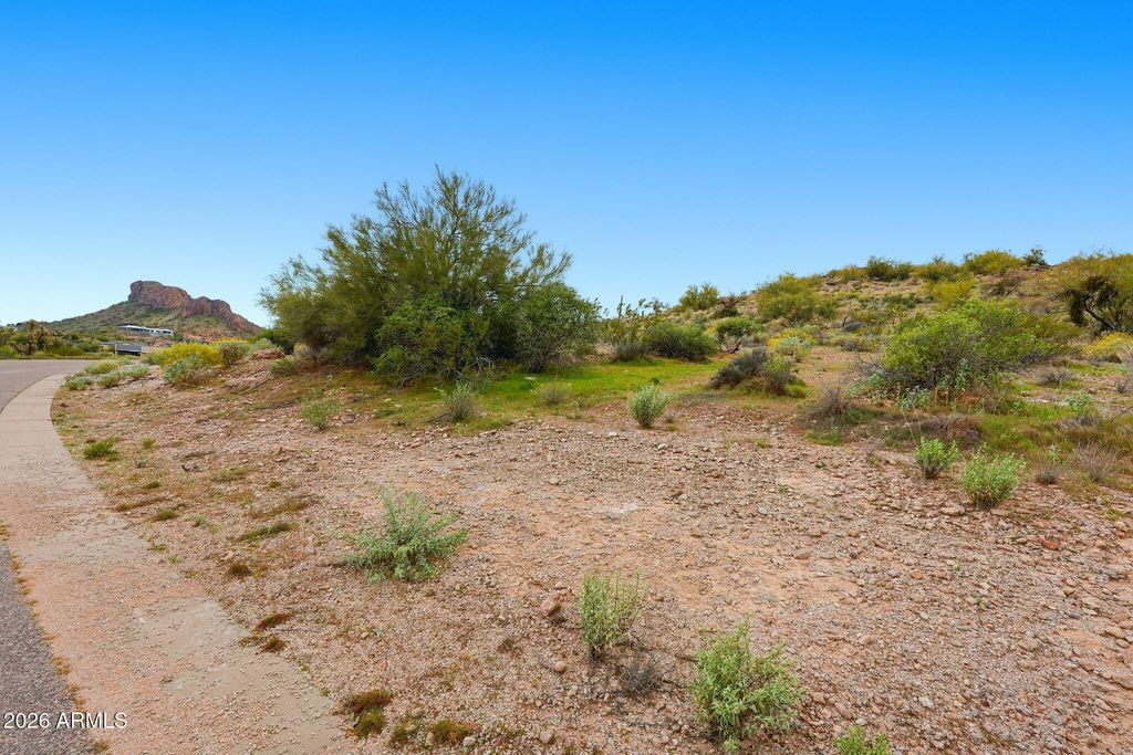 3779 S VISTA Loop 17, Gold Canyon, AZ 85118 — photo 4