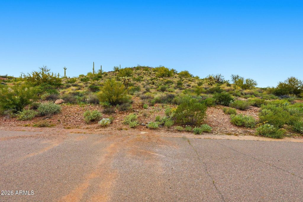 3779 S VISTA Loop 17, Gold Canyon, AZ 85118 — photo 5