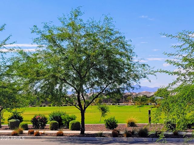 10830 W HADLEY Street, Avondale, AZ 85323