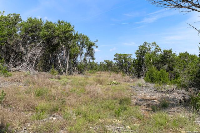 341 Mitchell Dr, Spring Branch, TX 78070