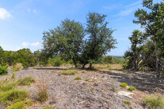 341 Mitchell Dr, Spring Branch, TX 78070