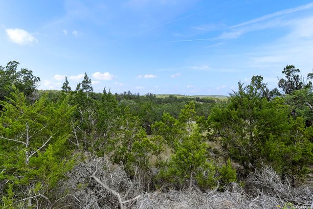 341 Mitchell Dr, Spring Branch, TX 78070