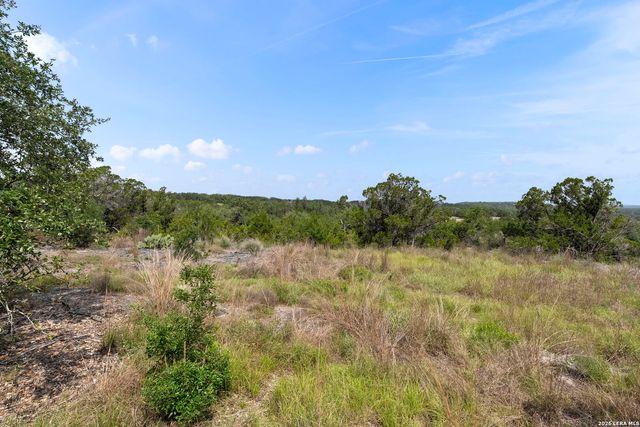 341 Mitchell Dr, Spring Branch, TX 78070