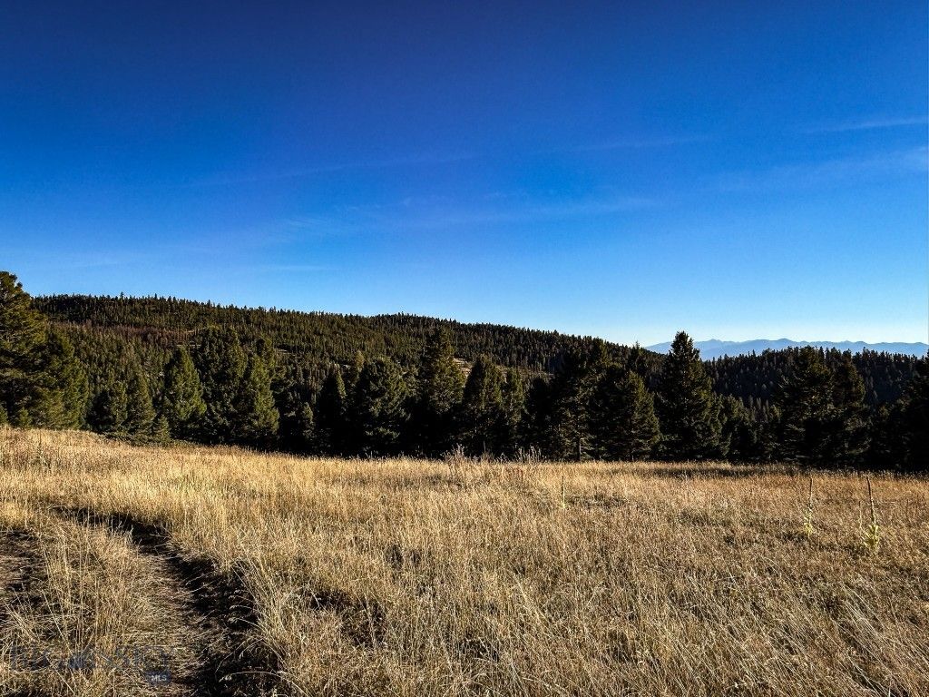 ~38.6 Acres 30079820 Slate Road, Helmville, MT 59843 photo 5